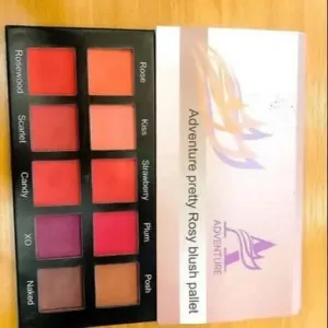 Adventure Makeup Blush Palette.