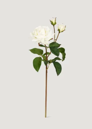 Cream White Real Touch Juliet English Rose - 22"