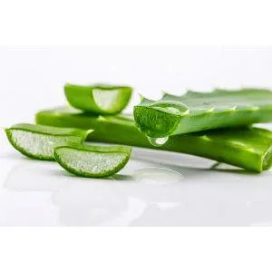 Fruit Of The Earth - Aloe Vera 100% Pure Gel