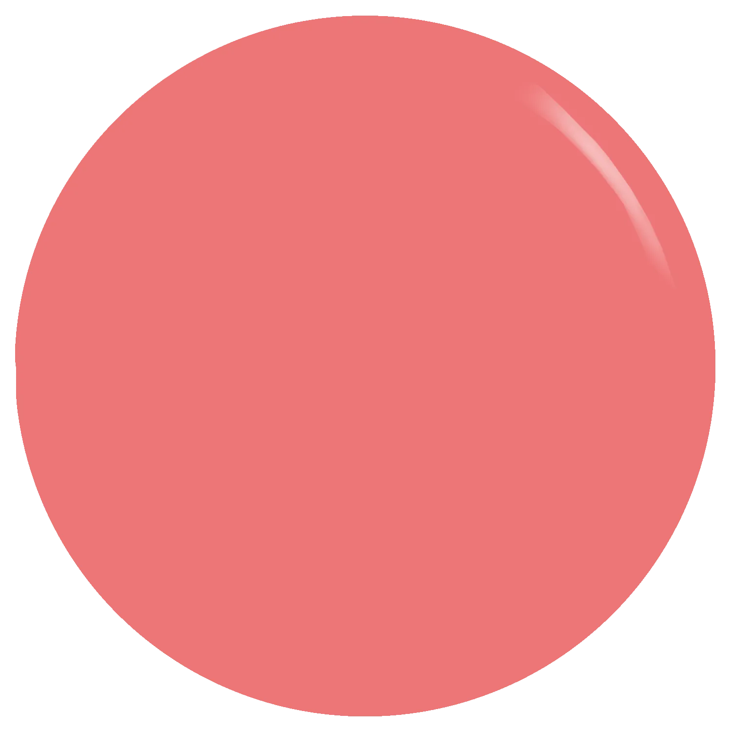 The Dark Blush Gel Polish