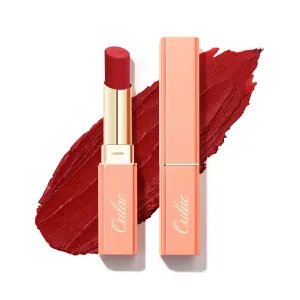 Velvet Matte Lipstick | Y13 Taste of Love